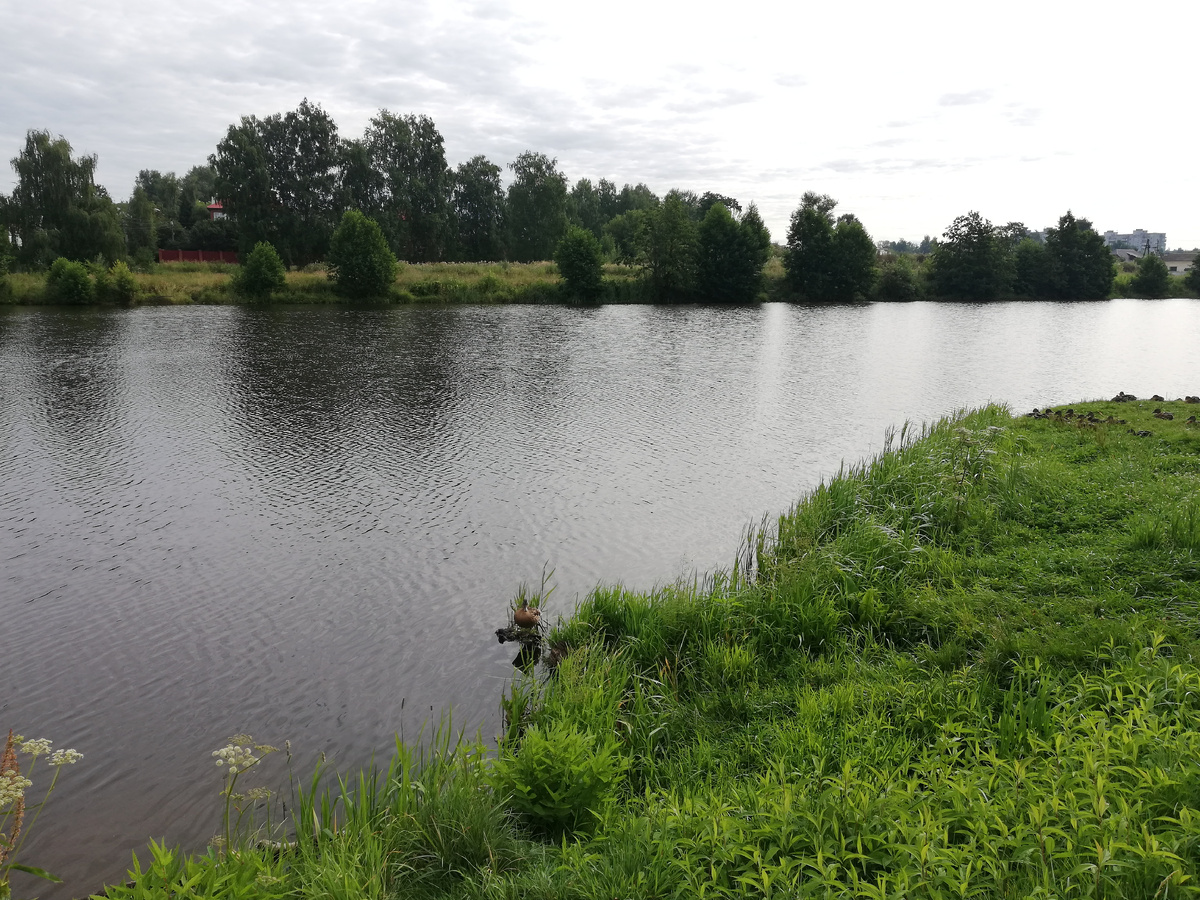 Фото автора.