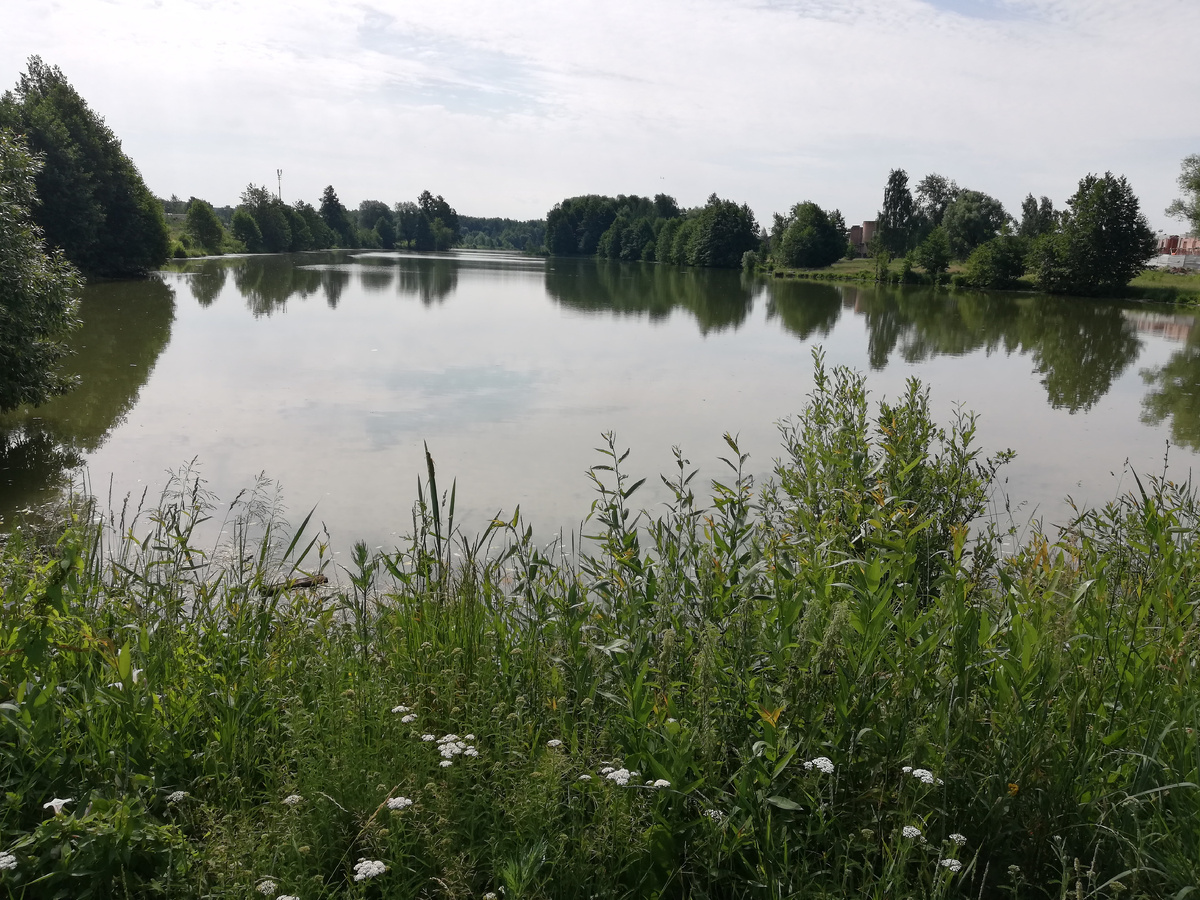 Фото автора.