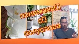 Влог💥 Всё о НЁМ и о НЁМ 🐕Все дела передал