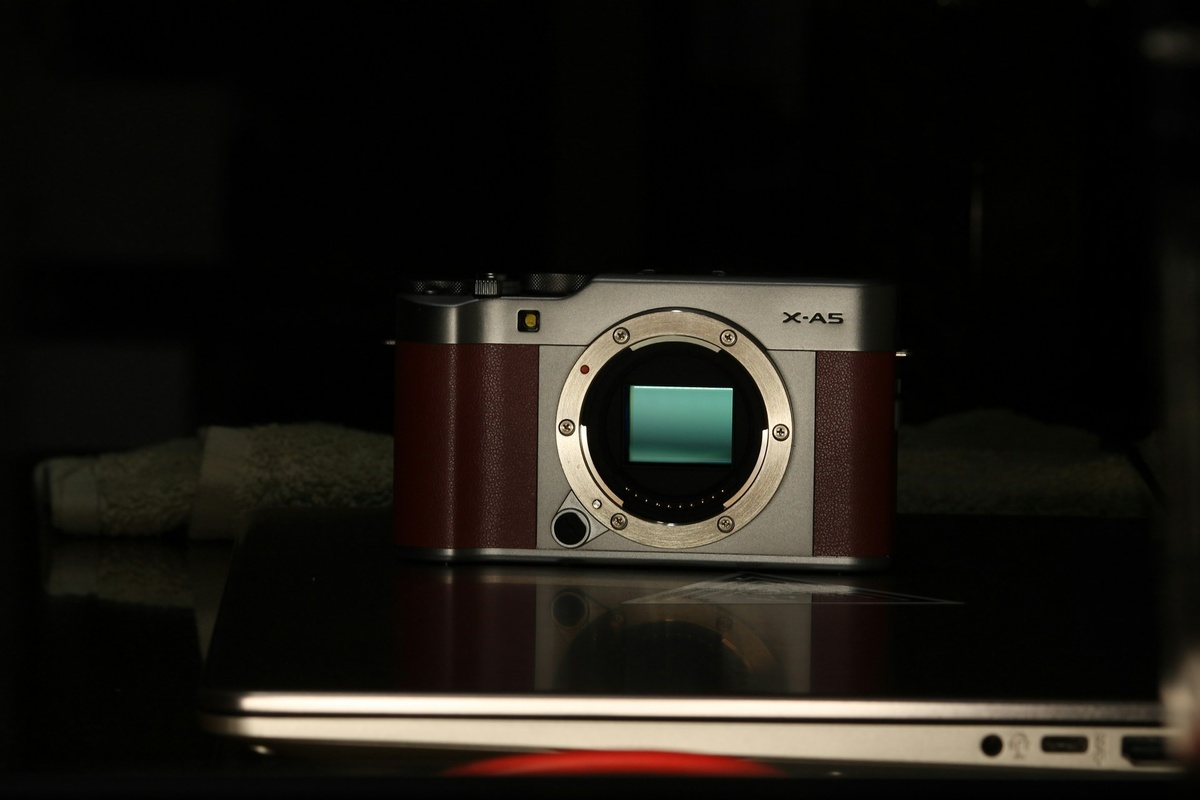    Это полный кадр или кроп? Кто определил за три секунды — тот молодец / Фото: unsplash.com