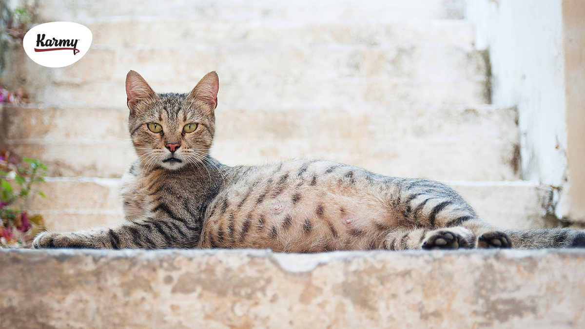 Авторское изображение с использованием картинки с сайта wallpapersgood.ru