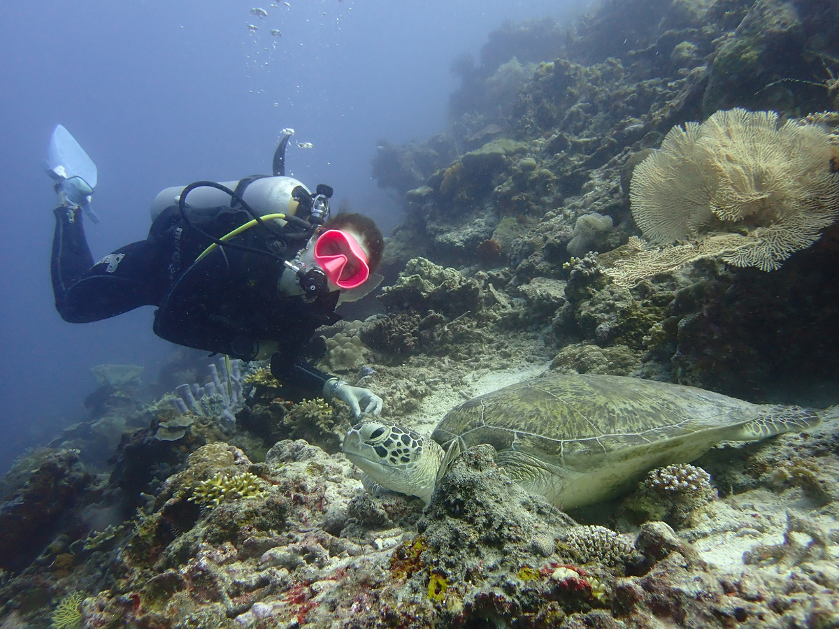 Дайвинг у острова Сипадан в Малайзии