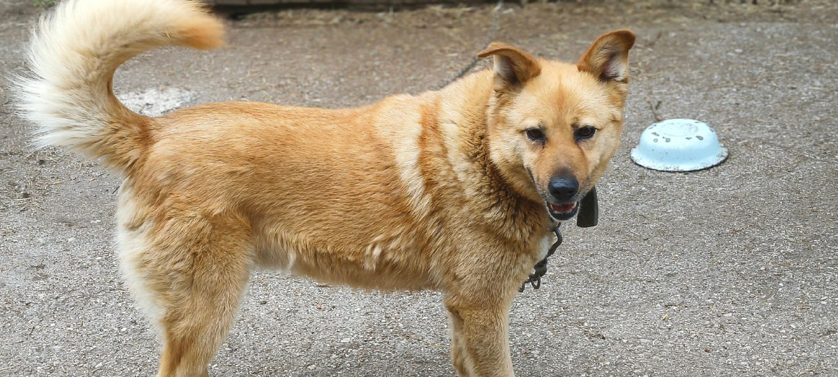 Она очень умная