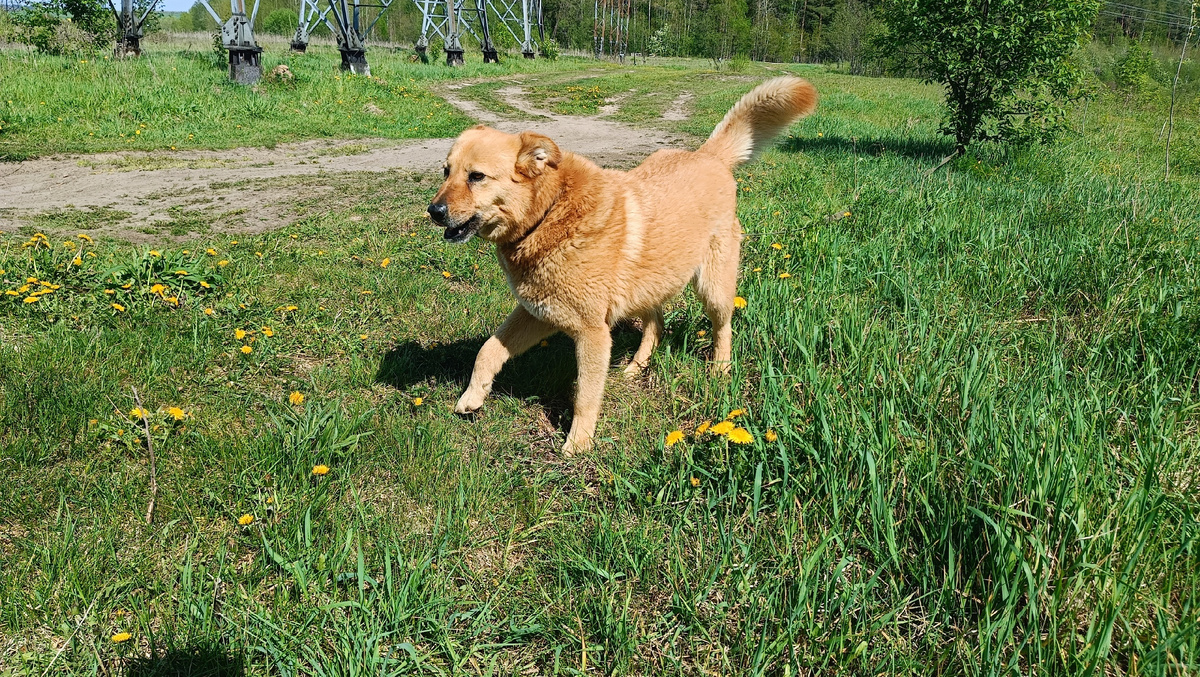 У нее всегда хорошее настроение