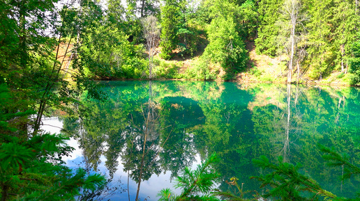 Красный ключ: где вода бьет ключом, а душа – радостью! 💧🌿