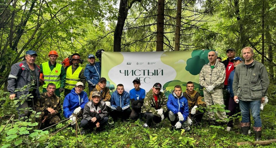    Комитет лесного хозяйства хозяйства Московской области