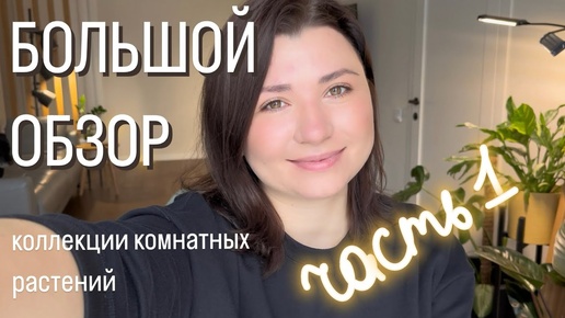 Большой обзор моей коллекции комнатных растений!🌿