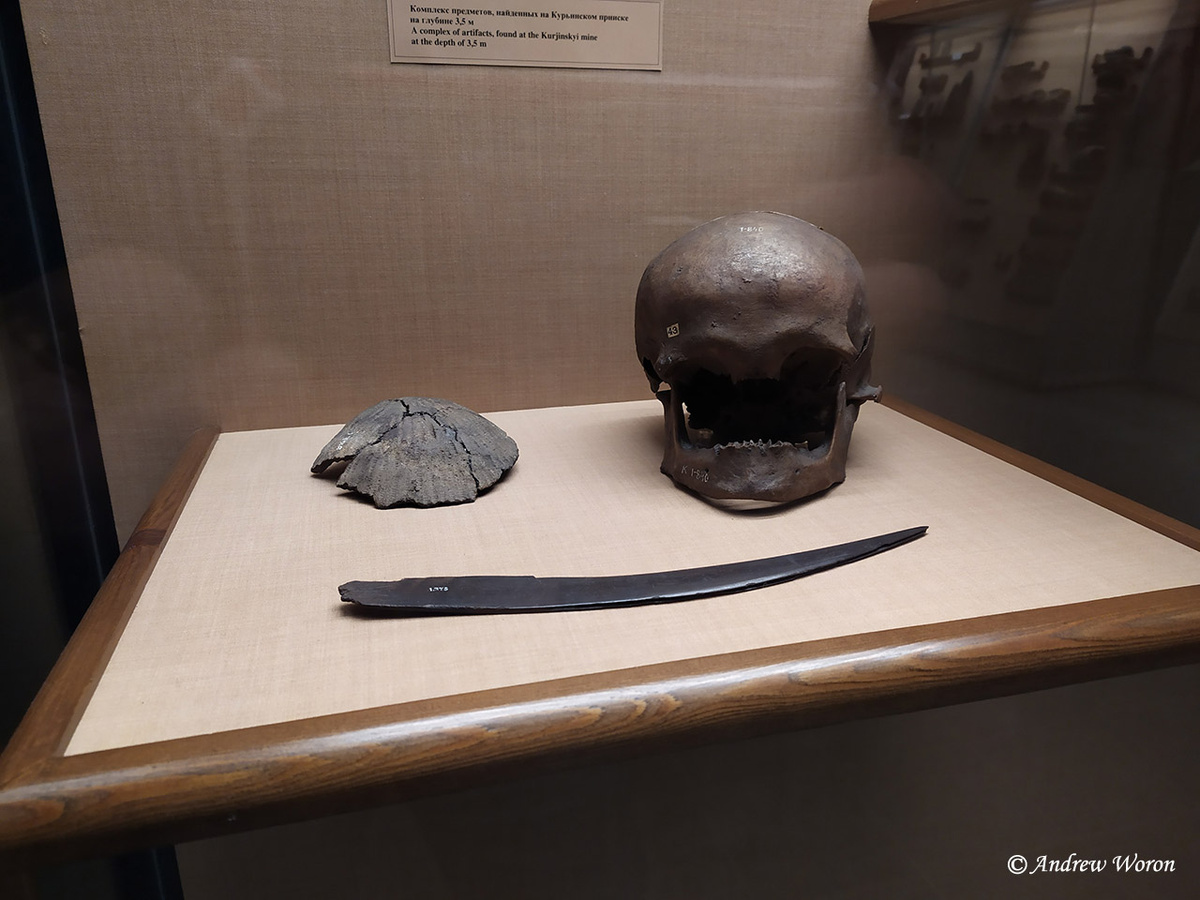 Найденный в болоте череп древнего человека