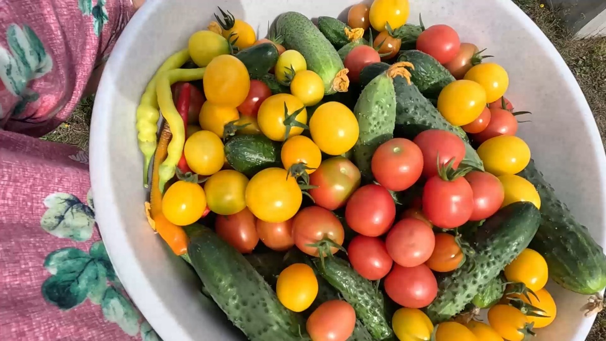 Урожай со своего огорода.