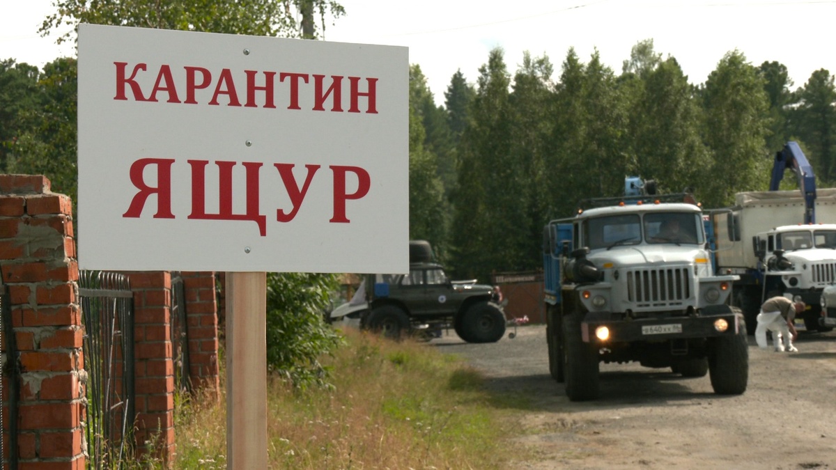    В Шапше ветеринары провели учения по ликвидации заболеваемости ящуром