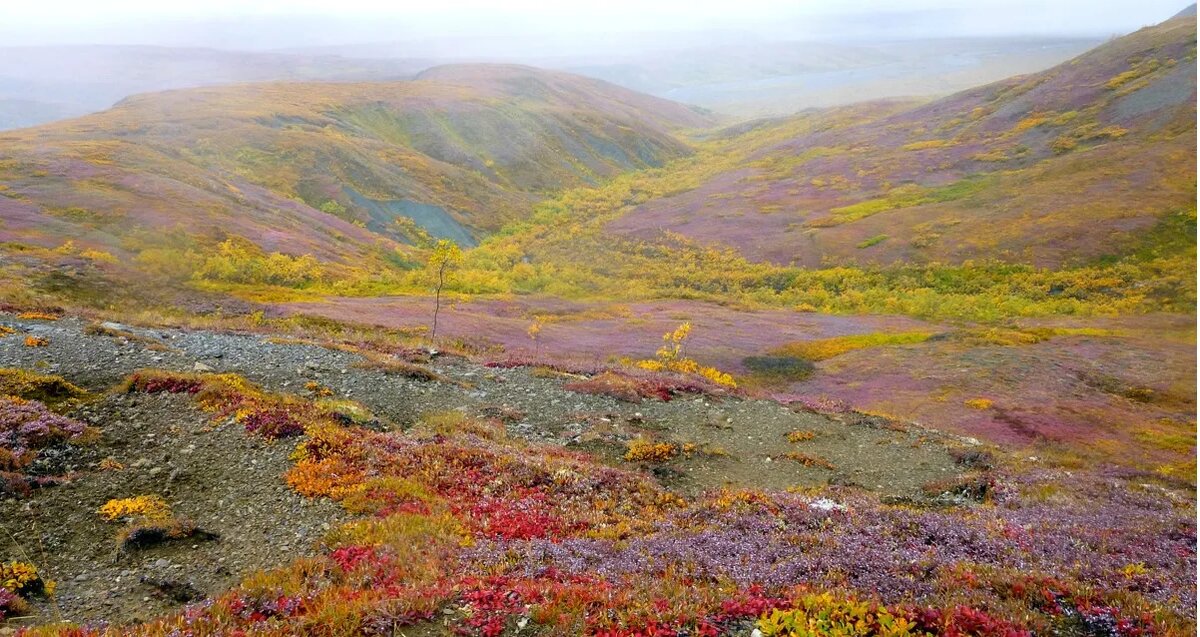 Из открытых источников.