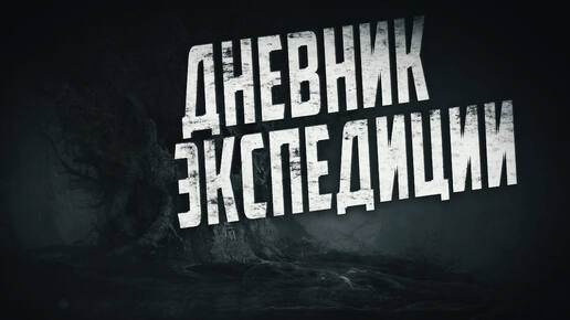 Страшные истории на ночь. Дневник экспедиции. Мистика. Страшилка. Ужасы