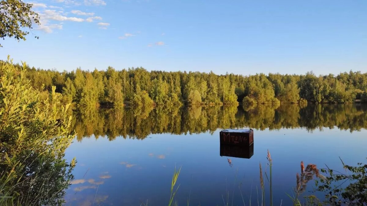     Источник: newsnn.ru