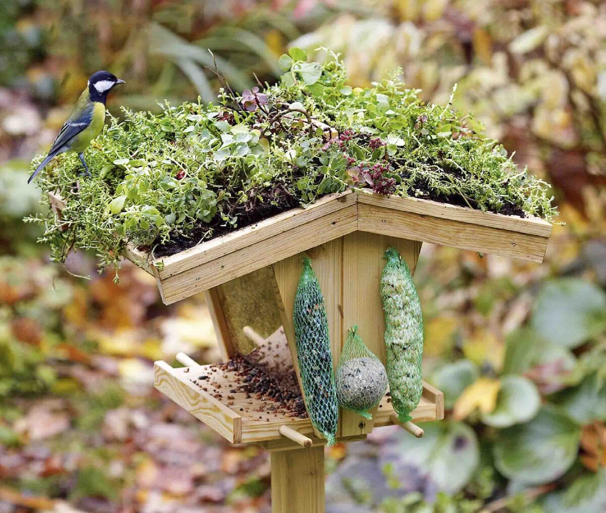 Кормушка с зеленой крышей