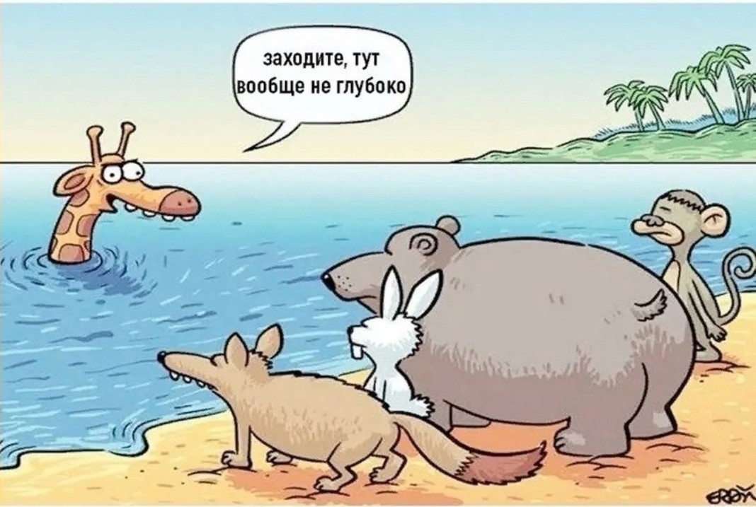 Кратко о пользе чужих советов (Фото из сети)