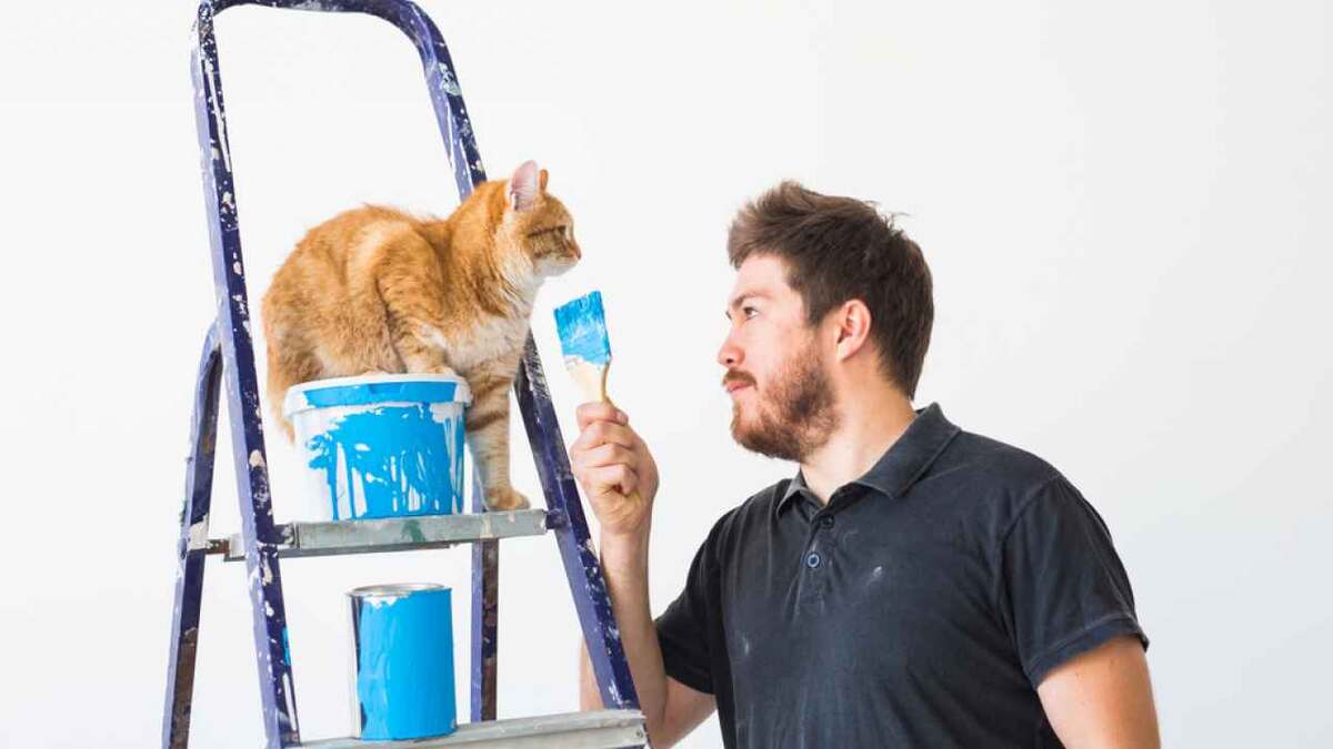 Фото: Best smile studio / Shutterstock