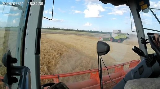 Час работы в поле за 10 минут 😉🌾🌾🌾