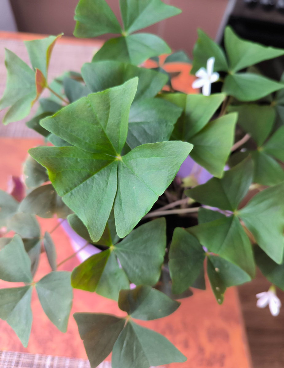 Всё фотографии в статье авторские. 