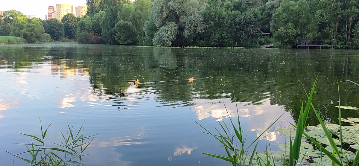 Фото автора