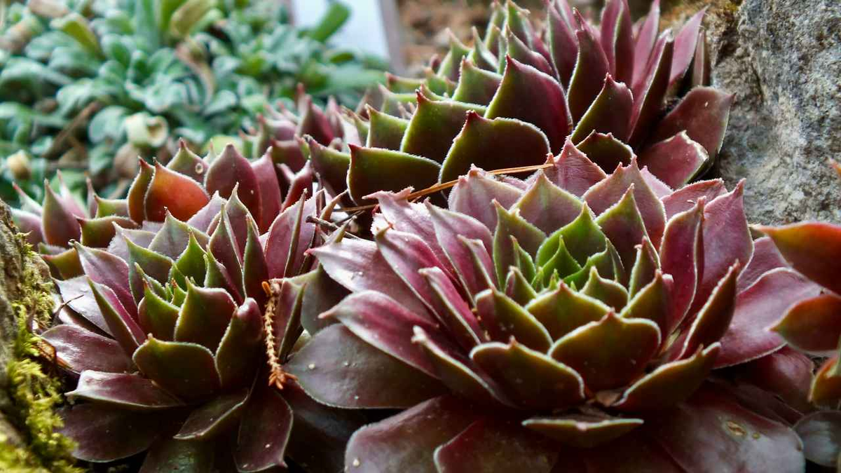 Фото: Veriko Dundua / Unsplash