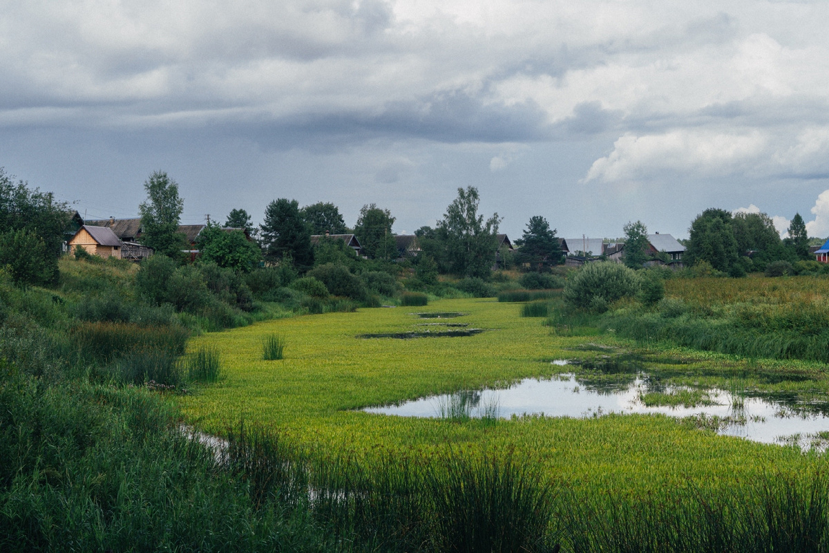 Река и заливные луга