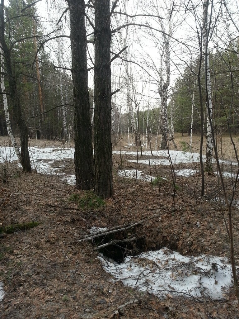 Объект 1200 кемерово. Курганы объект 1200. Объект 1200 кемерово история. Коттеджный поселок солнечная поляна город барнаул. Улица объект 1200 кемерово.