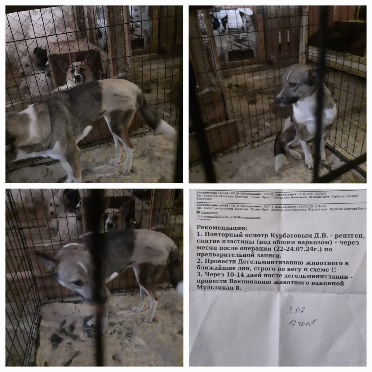 Жуля