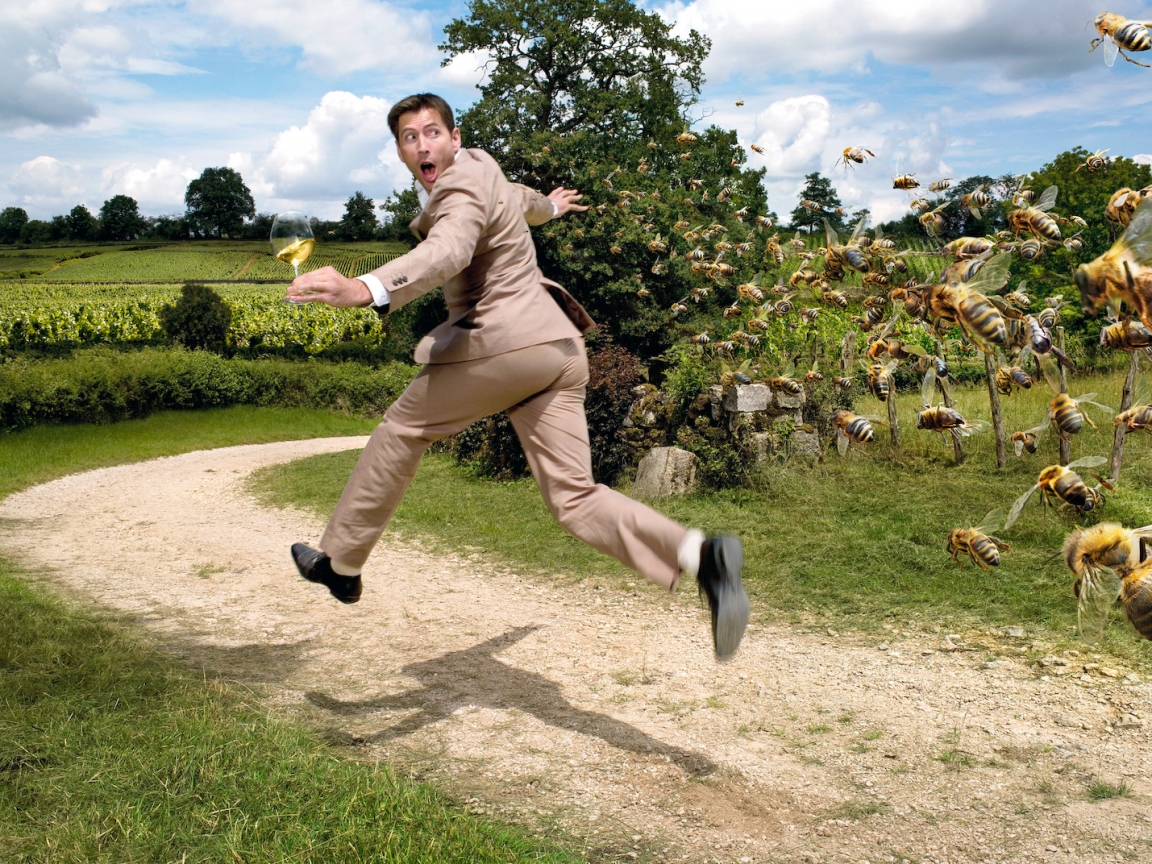 Источник: https://www.funnyart.club/uploads/posts/2023-02/1675636745_www-funnyart-club-p-smeshnoi-beg-smeshno-52.png