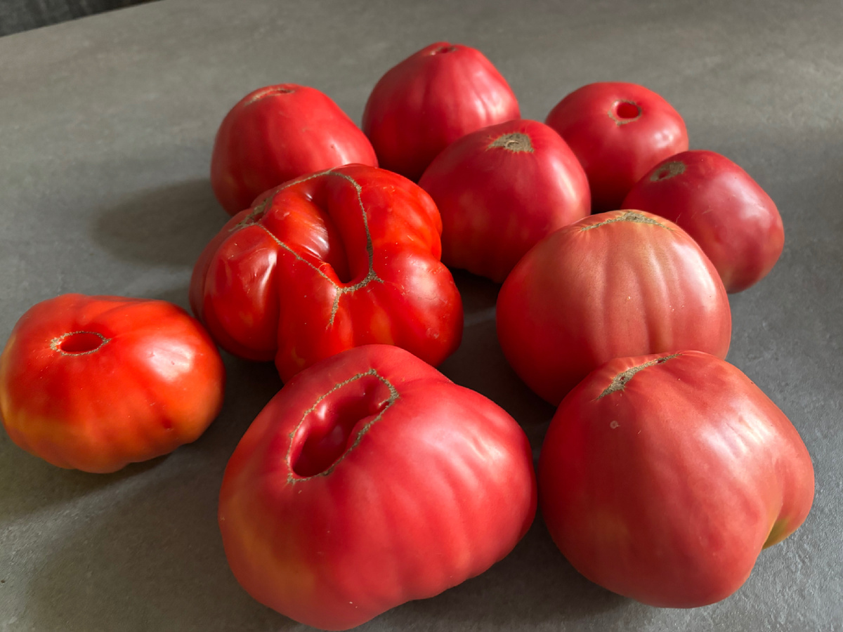 Моем подготовленные помидоры 