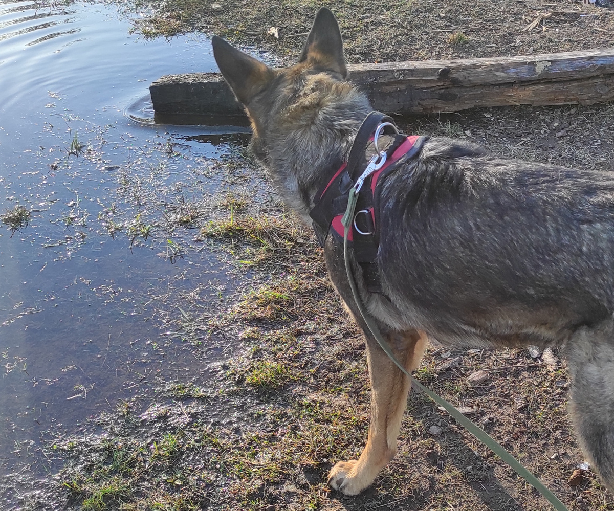 Видно ручку? 