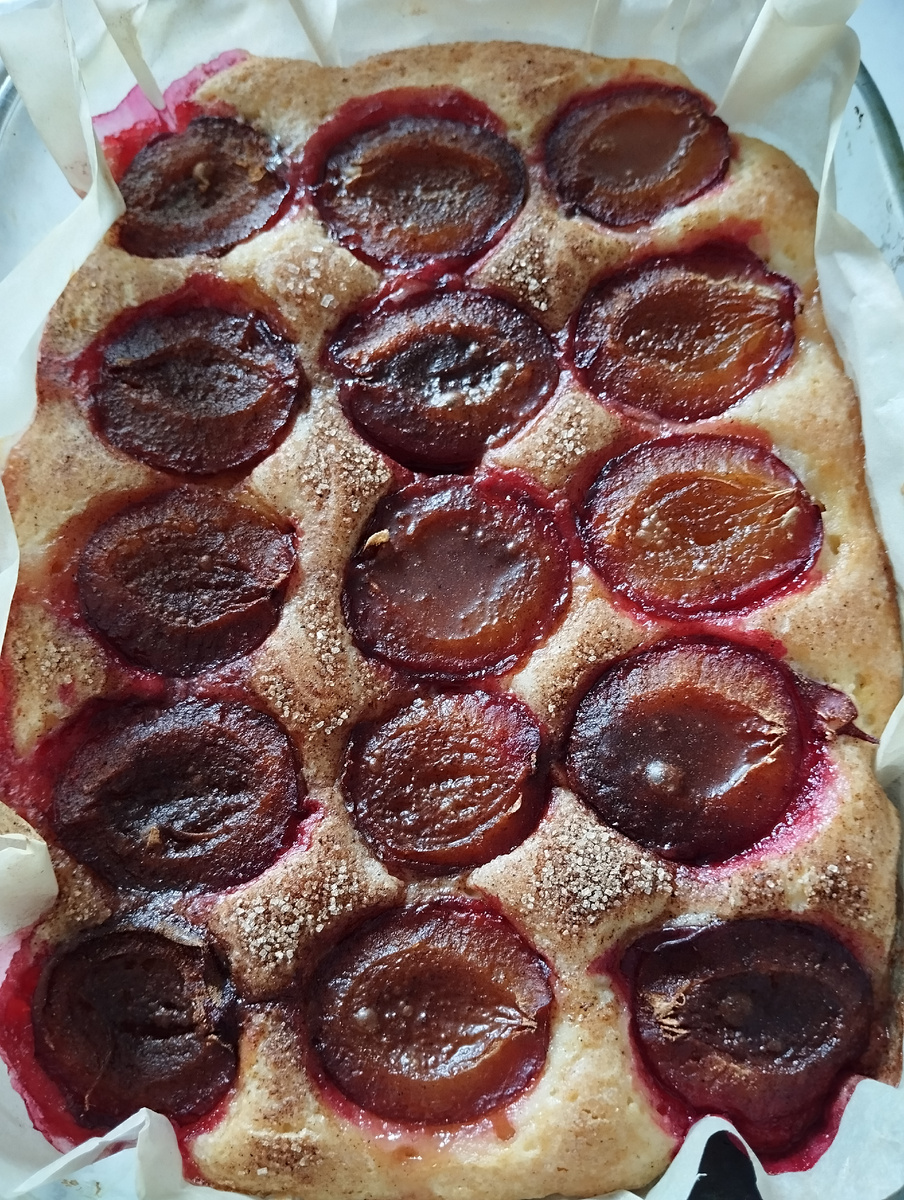 Пирог со сливами. Из личного архива Медведя и Черепаси