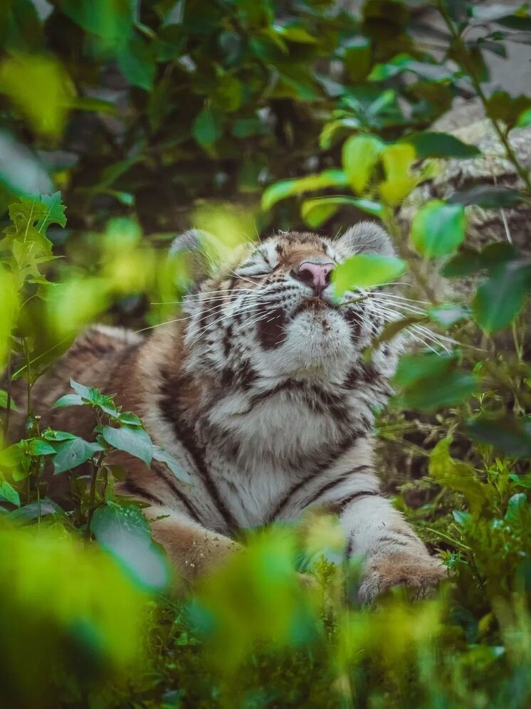     Минский зоопарк