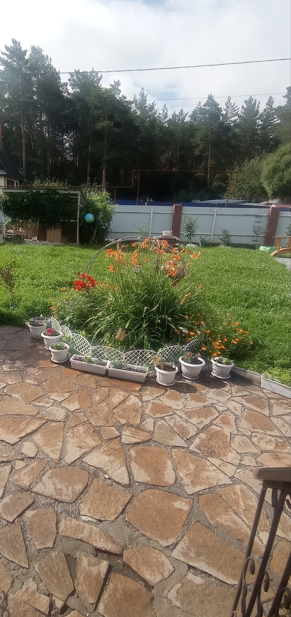 С утра прошёл дождик второго августа и солнышко