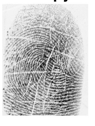 Отпечаток пальца с помехами