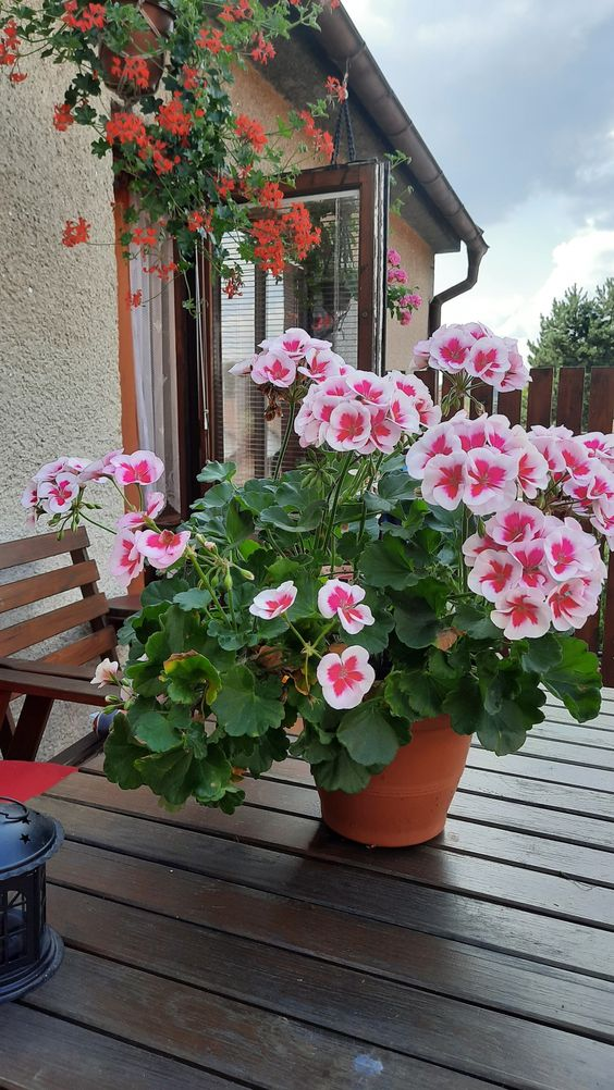 Источник https://www.pinterest.com/pin/914862417255972/