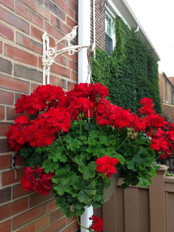 Источник https://www.pinterest.com/pin/914862417184484/