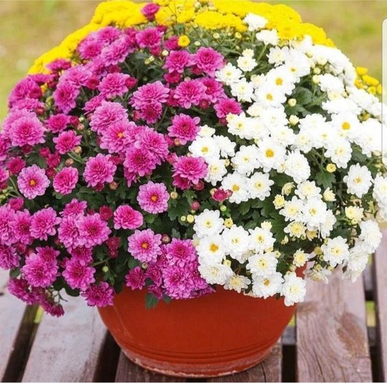 Источник https://www.pinterest.com/pin/26599454044126156/