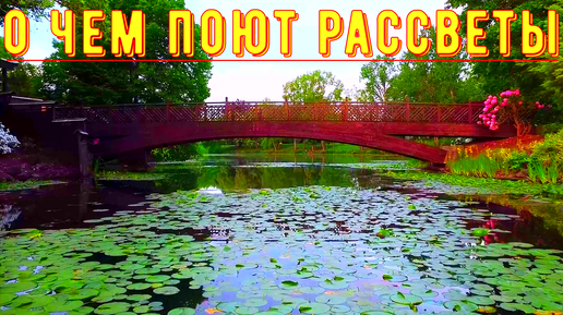 ~О ЧЕМ ПОЮТ РАССВЕТЫ~Романтическая музыка пианино.