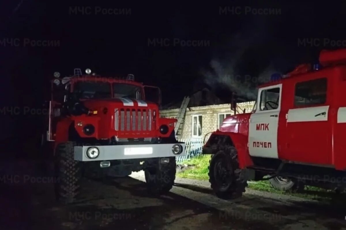    Два человека погибли на ночном пожаре в брянском селе Третьяки