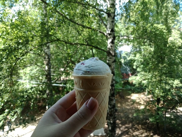 Фото: UfacityNews.ru