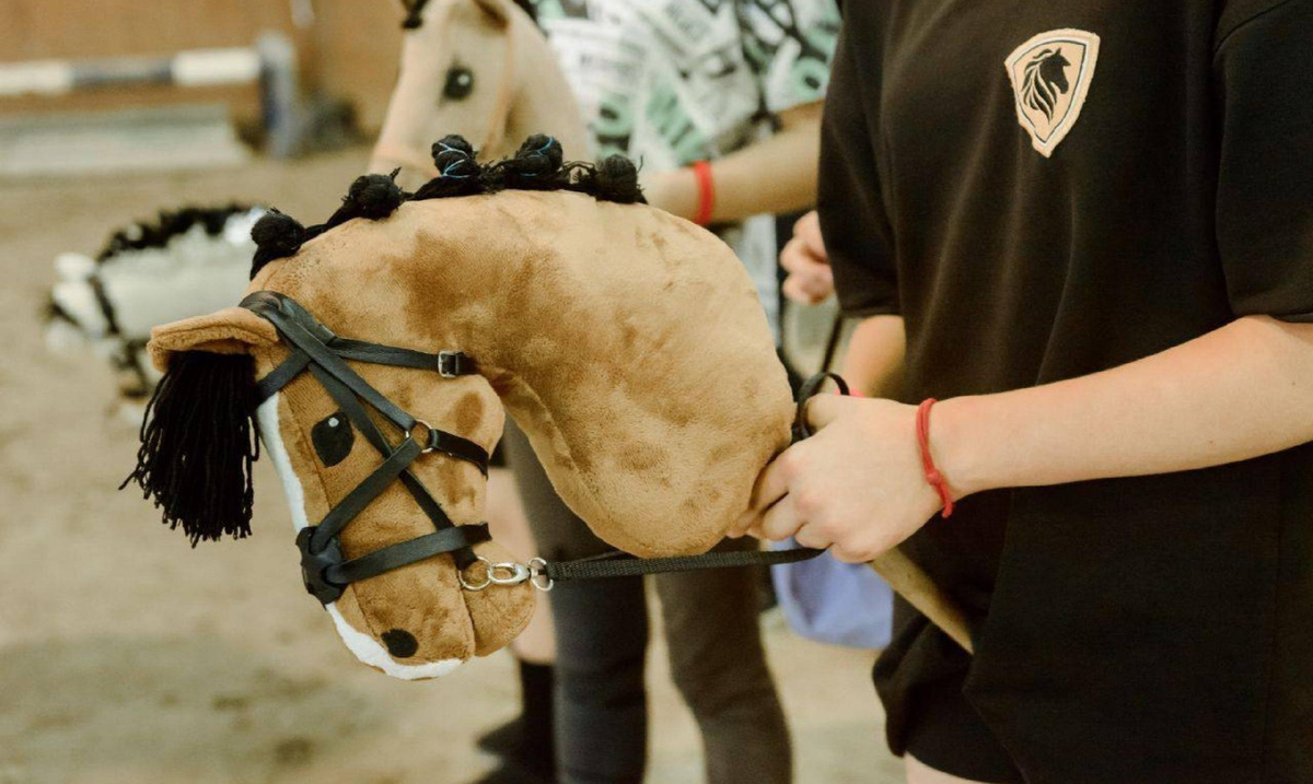 Хоббихорсеры кто это такие. Хоббихорсеры кто это такие. Хоббихорсинг екатеринбург. Хоббихорсинг троеборье. Хоббихорсинг конкур.