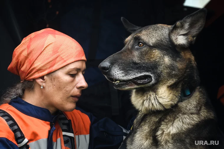 Участники спасательной операции работают на пределе возможностей. Фото: Илья Московец © URA.RU