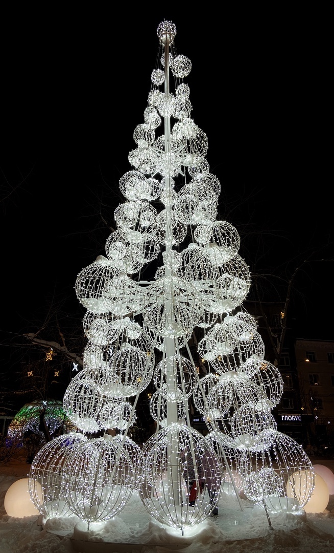 Мурманские елки.