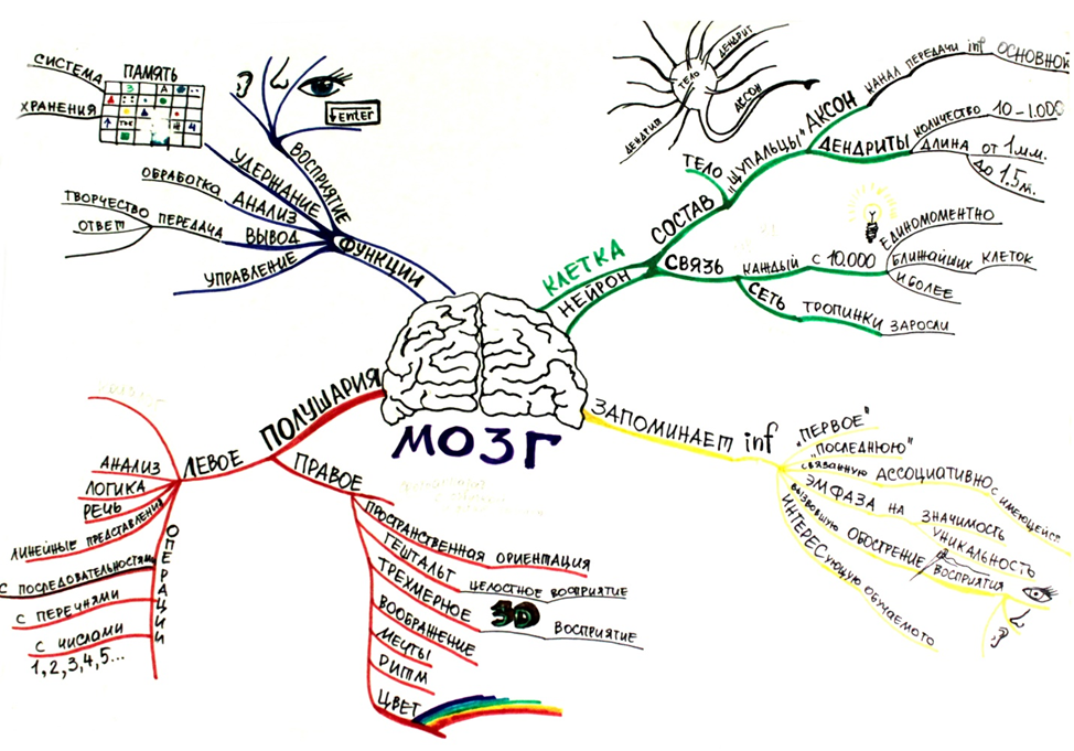 Интеллект карта на тему информация. Интеллект карта пример информатика. Интеллект карта правила составления. Интеллект карта на тему информация. Ментальная карта программное обеспечение.