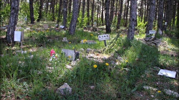    © РИА Новости Крым . Владислав Сергиенко