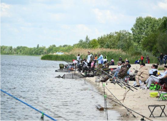 Фото сайта правительства РО