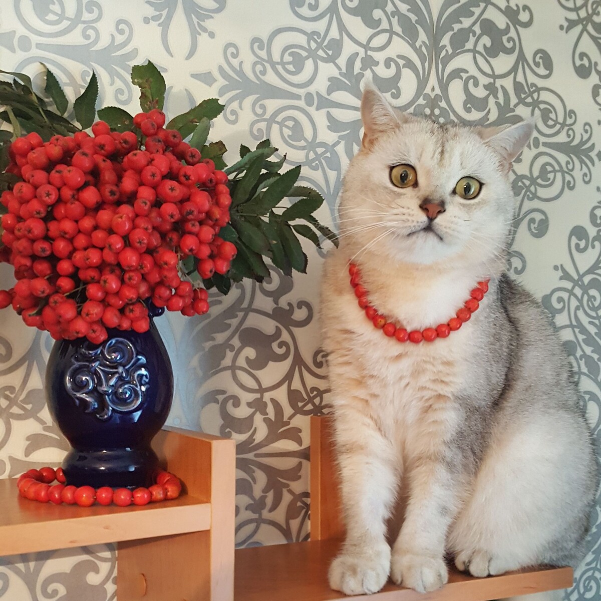 Источник: Яндекс картинки