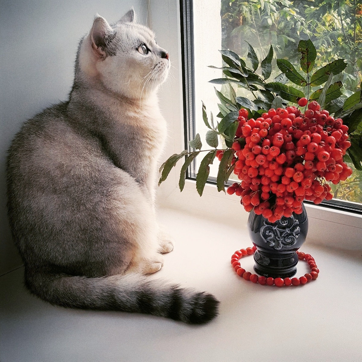 Источник: Яндекс картинки