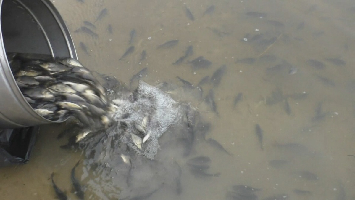 Фото с канала @Сергей Ахтырский 