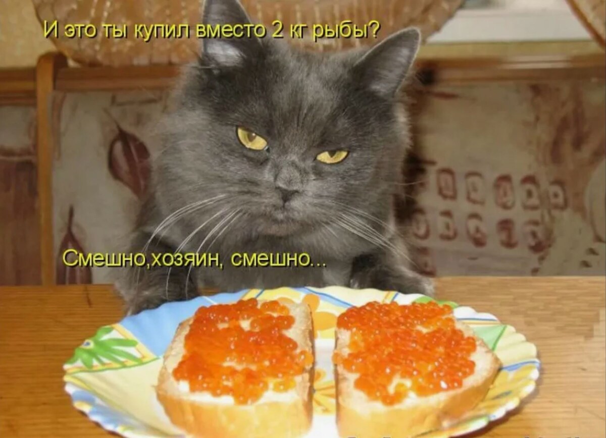 источник Яндекс-картинки